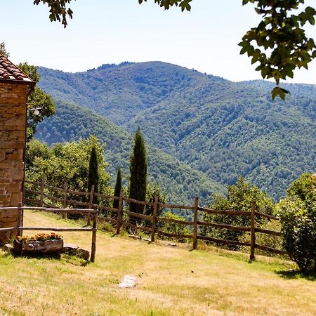Agriturismo Con Piscina In Toscana, Tribbiano Arezzo Exterior photo