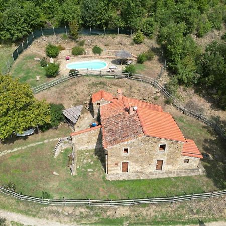 Agriturismo Con Piscina In Toscana, Tribbiano Arezzo Exterior photo