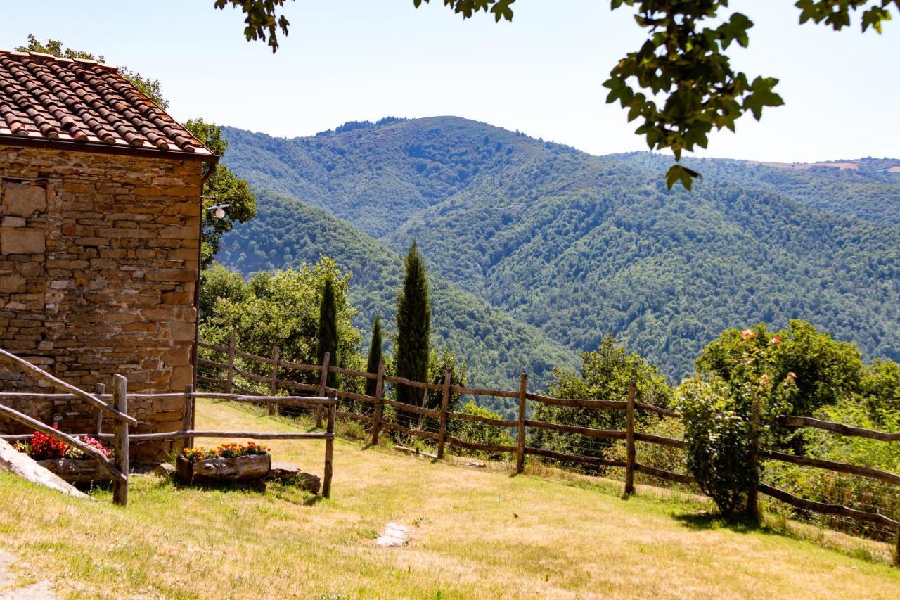 Agriturismo Con Piscina In Toscana, Tribbiano Arezzo Exterior photo